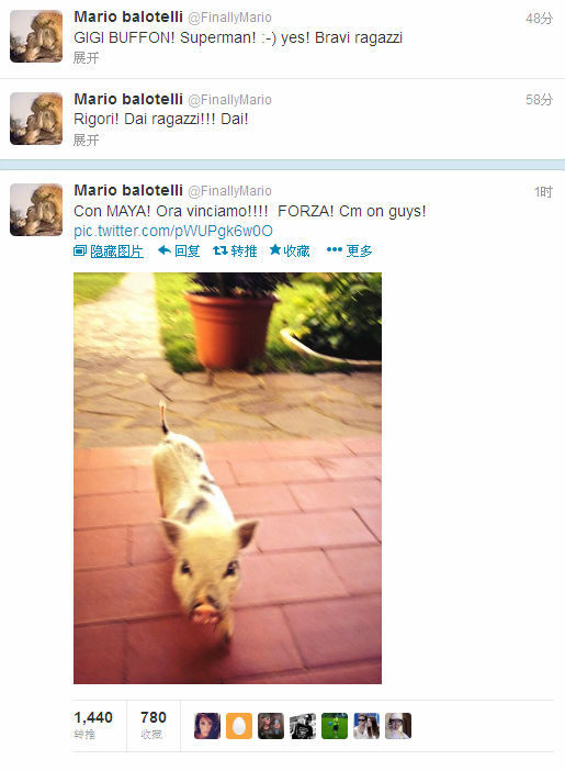 巴神秀宠物猪照片为意大利加油