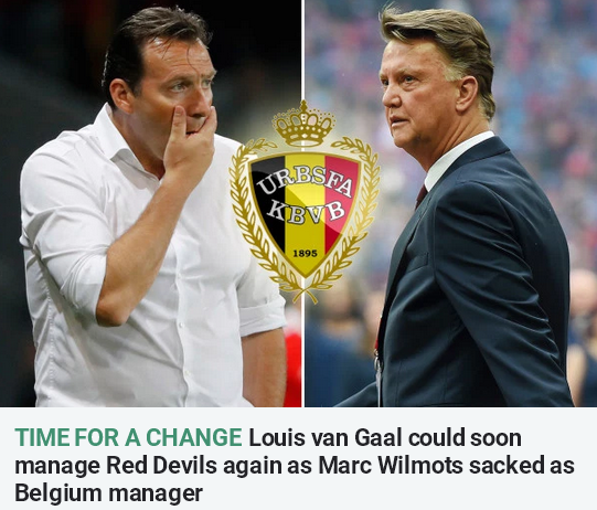 范加尔成比利时主帅大热门